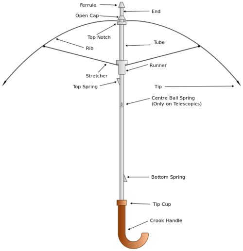 Parts of an Umbrella diagram image